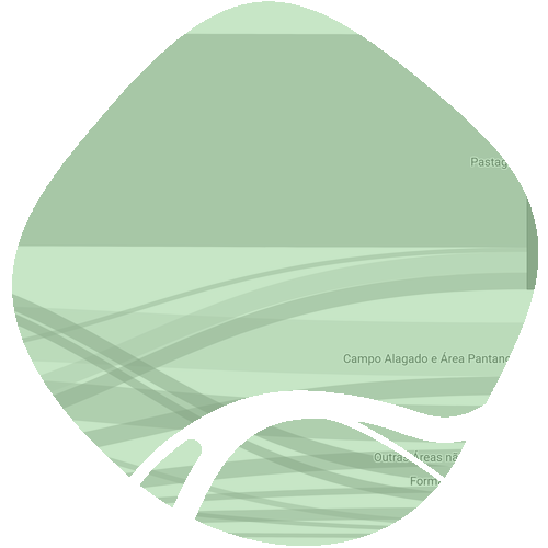 icon viz