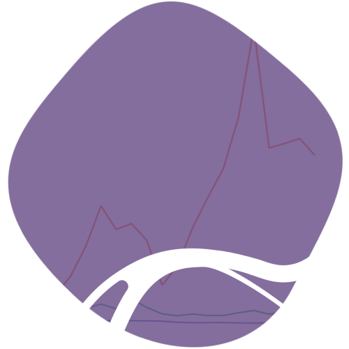 icon viz